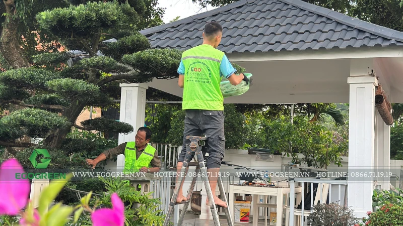Chi phí chăm sóc sân vườn mỗi tháng có thật sự đắt?